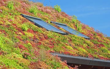 Fisherton De La Mere living roof systems